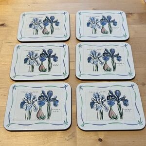 Jason Designer Collection 6 Iris Flower Floral Drink Coasters